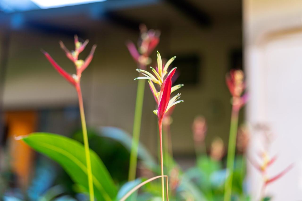 Noahs Hideaway Luxury B&B Lahaina Luaran gambar