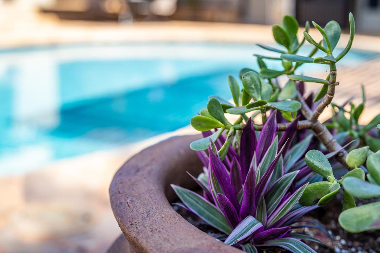 Noahs Hideaway Luxury B&B Lahaina Luaran gambar