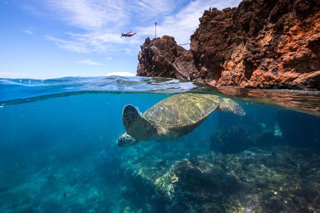 Noahs Hideaway Luxury B&B Lahaina Luaran gambar