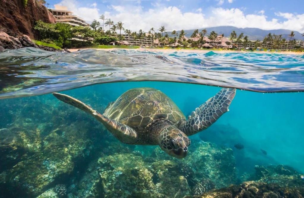Noahs Hideaway Luxury B&B Lahaina Luaran gambar